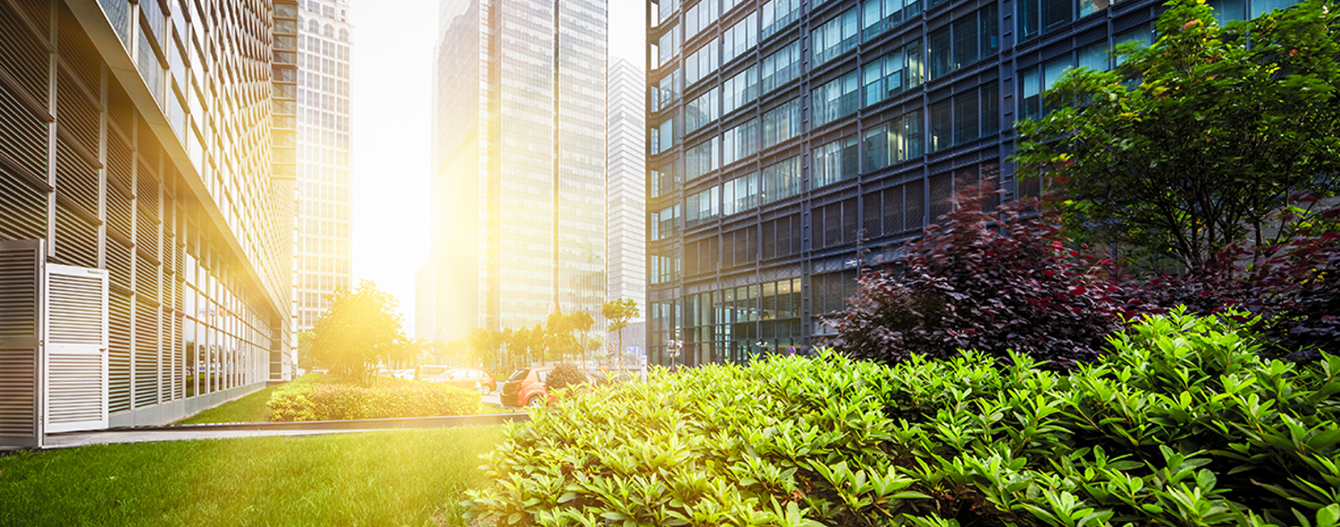 Green recovery post-COVID-19: The government’s energy white paper, with ambitious plans to power our net zero future